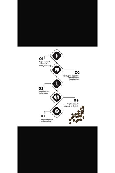 Pro Performance Pro Ultra Premium Hipoalerjenik Somonlu ve Yaban Mersinli Yavru Köpek Maması 12 Kg