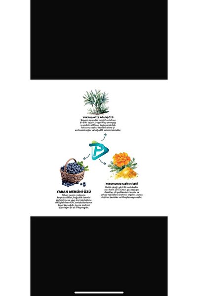 Pro Performance Pro Ultra Premium Hipoalerjenik Somonlu ve Yaban Mersinli Yavru Köpek Maması 12 Kg