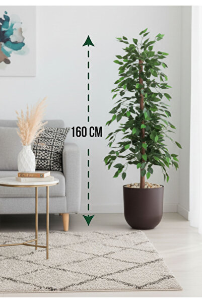 Generic شجرة فيكس حوض بلاستيك