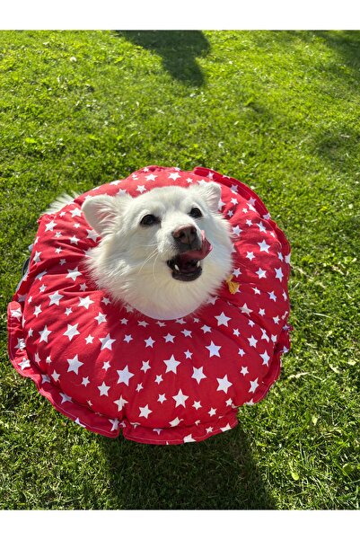 Petris Cat Dog Funnel Operation Neck Collar, Collar, Pillow, Elizabeth(XL Outer Edge Diameter:45 cm)100% Protection 05