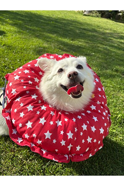 Petris Cat Dog Funnel Operation Neck Collar, Collar, Pillow, Elizabeth(XL Outer Edge Diameter:45 cm)100% Protection 05