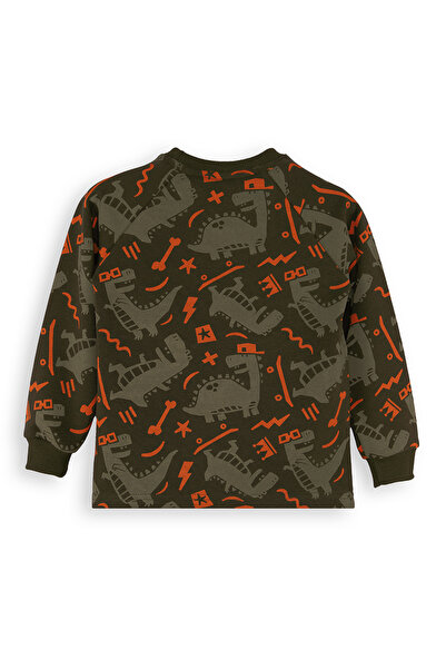 Denokids Skateboard Dino Boy Brown Sweatshirt