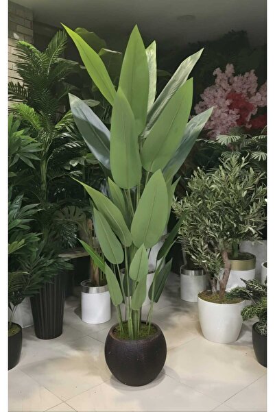 İremÇiçekçilik Siyah Pürüzlü Kızıl-Bakır desenli saksıda Starliçe - 24 yapraklı 210 cm