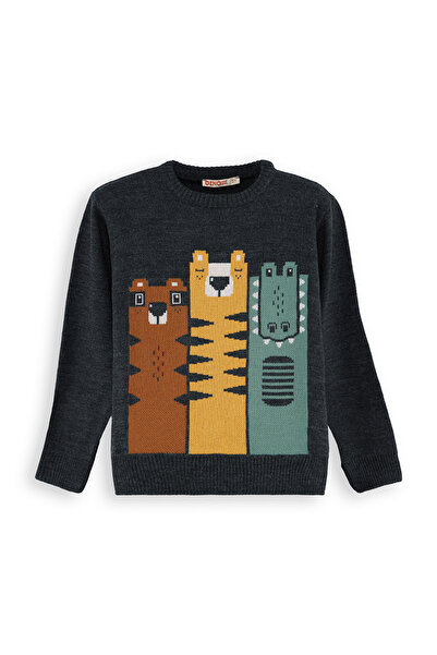 Denokids Animals Boy's Knitwear Sweater