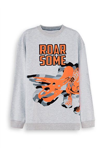 Denokids Roar Boy Gray Sweatshirt
