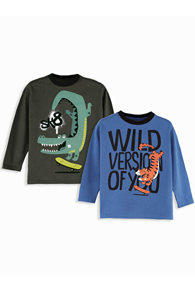 Denokids Skate Boy's 2 Pack T-Shirt