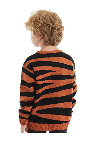 Denokids Tiger Boy Brown Sweater
