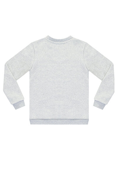 Denokids Boy's Grey Melange Rawr Dino Sweatshirt