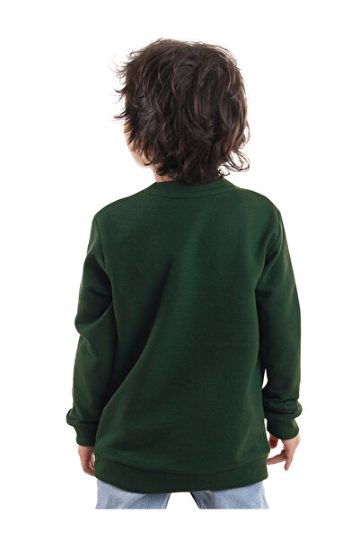 Denokids Boy's Khaki Roarr Dino Sweatshirt