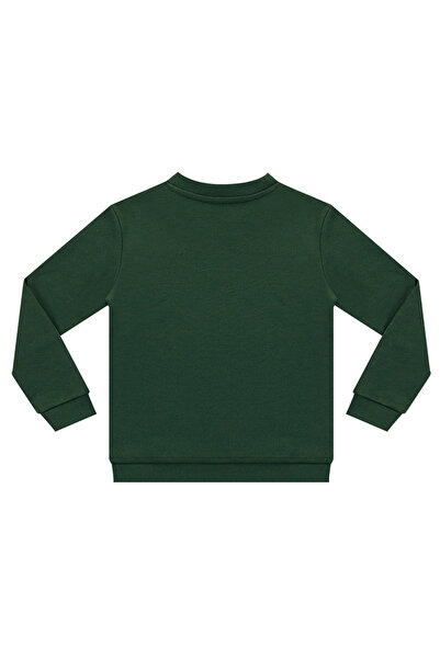 Denokids Boy's Khaki Roarr Dino Sweatshirt