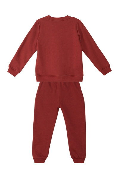 Denokids Tiger Boy Tracksuit Set - Comfortable Design