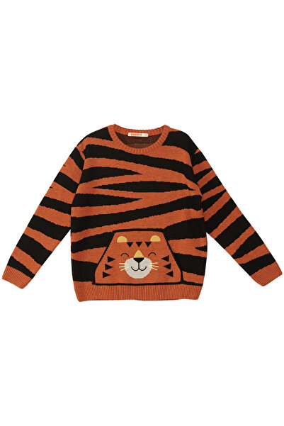 Denokids Tiger Boy Brown Sweater