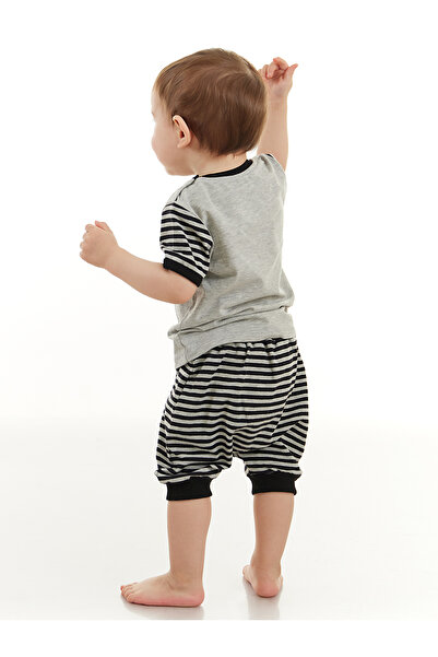 Denokids Raccoon Baby Boy T-shirt Capri Shorts Set