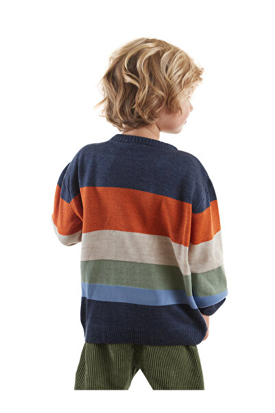 Denokids Boy's Animals Patterned Sweater