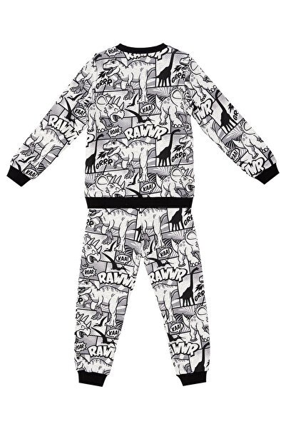 MSHB&G Boy's StripEd Dino Tracksuit SEt