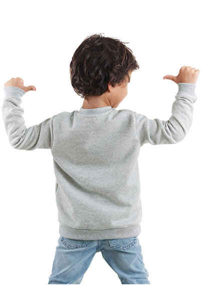 Denokids Boy's Grey Melange Rawr Dino Sweatshirt