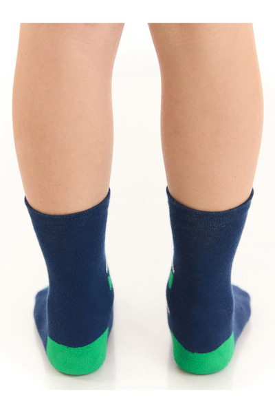 Denokids Tırtır Dino Boy's Set of 2 Socket Socks