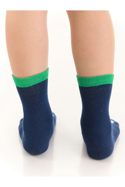 Denokids Tırtır Dino Boy's Set of 2 Socket Socks