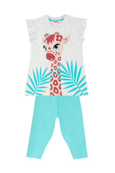 Denokids Frilly Giraffe Girls Summer T-Shirt Leggings Set