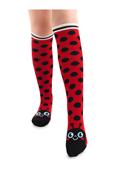 Denokids Ladybug Patterned Polka Dot Girl's Knee Socks