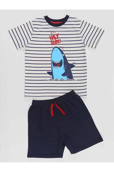 Denokids Dude Shark Boy T-shirt Shorts Set