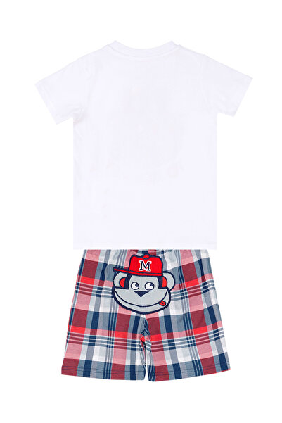 Denokids Monkey Plaid Boy's T-shirt Shorts Set