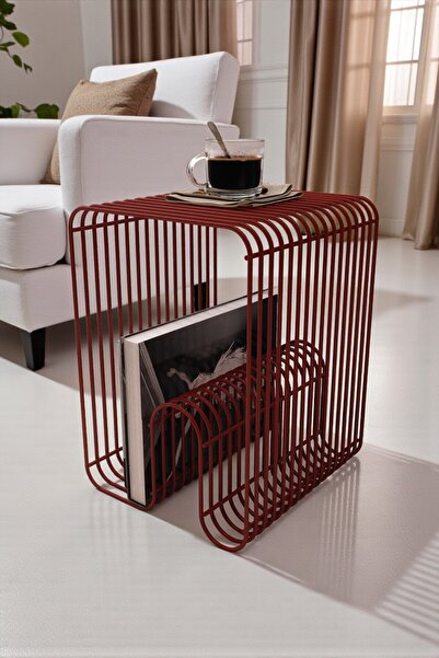 boz concept home Milano Tel Metal Tasarımlı Modern Paslanmaz Yan Sehpa, Dekoratif Metal Sehpa