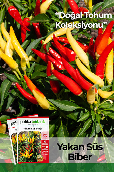 Patika Botanik 200 Adet Yakan Süs Biber Tohumu