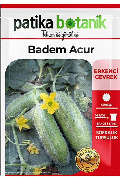 GüçlüTedarik 200 Adet Badem Acur Tohumu