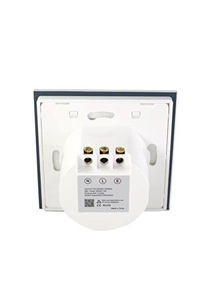 OEM Priza de perete smart, 16A, Wi-Fi, App Tuya/Smart Life, Compatibil Alexa/Google Assistant, Alb