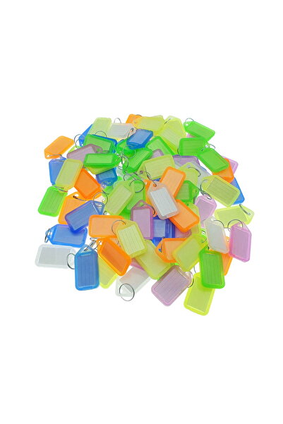 OEM Set de 100 brelocuri 55 x 30 mm, cu etichetă de identificare și inel, Etichetă breloc, plastic