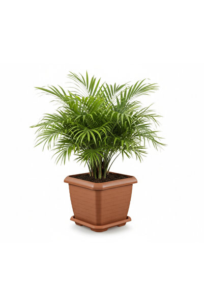 SERİNOVA Hk04 Hisar Kare Saksı 44 Litre Kiremit