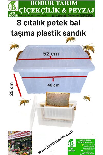 BODUR TARIM Bulancak Giresun 8 Cıtalık 52 X 25 Arı Petek Bal Taşıma Sandığı Ş...