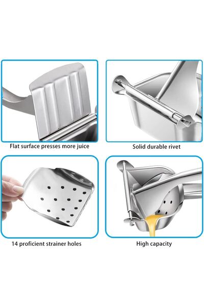 TEGRILO Stainless Steel Heavy-Duty Manual Fruit Juicer -