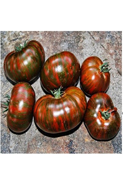 Genel Markalar Adet Dev Kahverengi Domates Tohumu