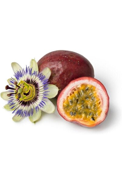 Genel Markalar Dünyam 3 Adet Tropikal Çarkıfelek Meyvesi Tohumu