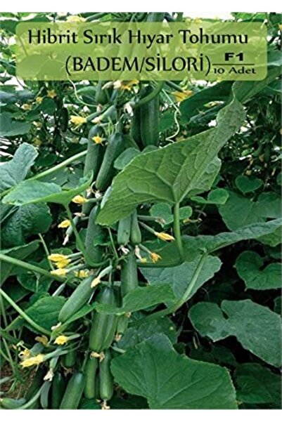 Genel Markalar Organik Hibrit Salatalık Tohumu 10 Adet Badem Hıyar Tohumu F1 ...