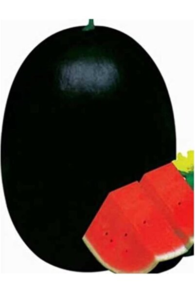 CET PRIME Halep Siyah Karpuz Tohumu 30 Adet Tohum