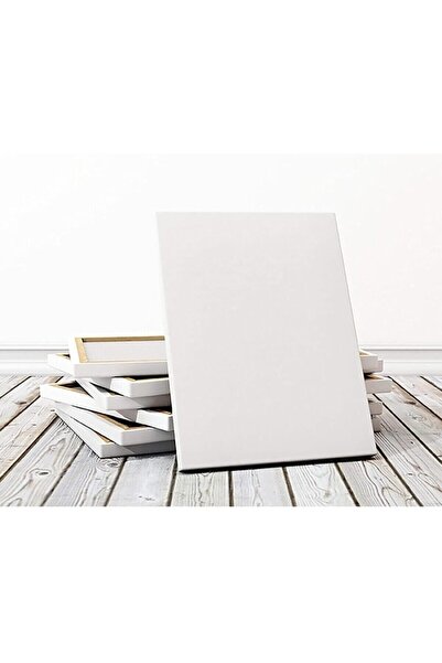 Sevimle Store pânză profesională 50x50 cm