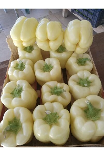 Genel Markalar Garden Doğal Beyaz Dolma Biberi Tohumu 100 Ad. Tohum