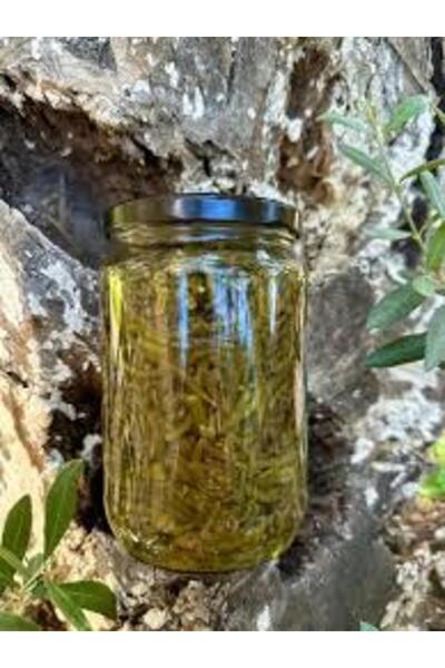 Aydın Enginar Köy Ürünleri deniz börülcesi konserve 660gr