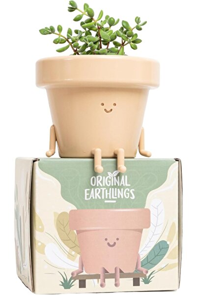 Generic Original Earthlings Cute Face Indoor Plant Pot, 8.89 cm Succulent Planter