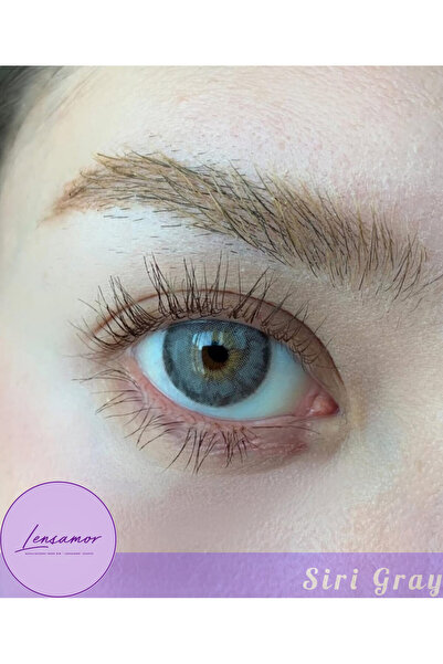 Genel Markalar Siri Gray Gri Renk Yıllık Kullanım