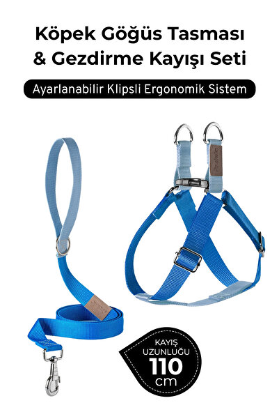 pasiole Adjustable Dog Harness and Walking Leash Set | Handmade, Durable, Convenient to Use