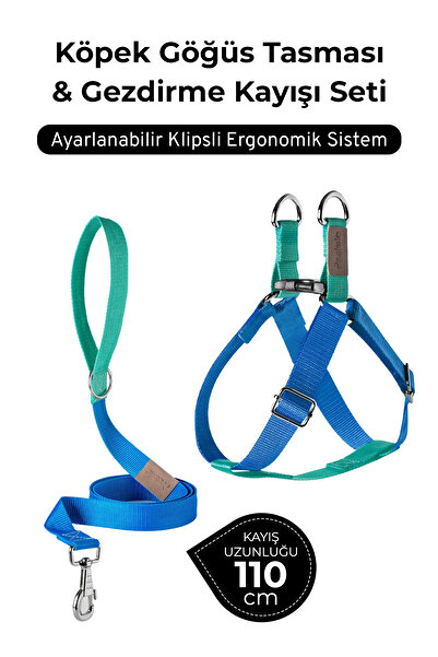 pasiole Adjustable Dog Harness and Walking Leash Set | Handmade, Durable, Convenient to Use