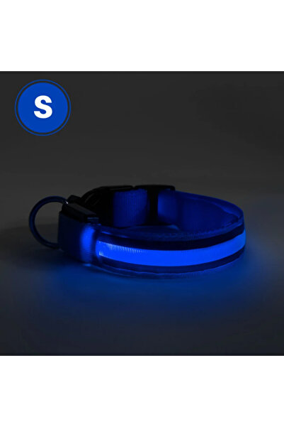 PROCART Zgardă cu lumină LED pentru câini, mărimea S, 3 moduri de iluminare, albastră