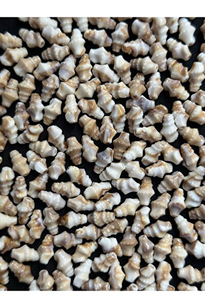 Bijumix Aksesuar 50 Adet 13.2 mm Deniz Kabuğu Figürlü Akrilik Plastik Boncuk ...