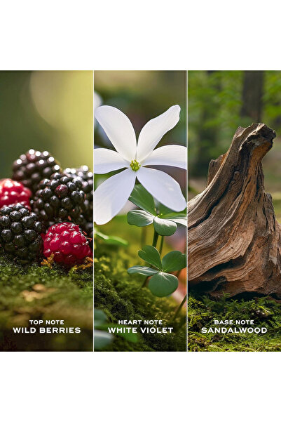 Marc Jacobs Marc Jacobs Daisy for Women 100 ml - Eau de Toilette