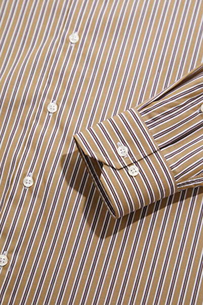 W Collection Classic Shirt