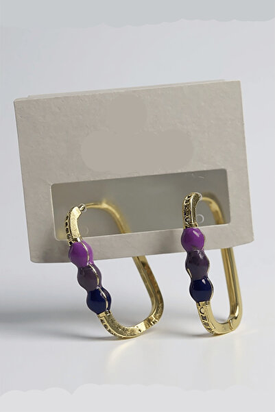 TAKIŞTIR Gold Color Stone Detailed Earrings (Pair)
